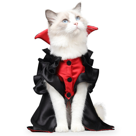 Halloween Cat Vampire - Costume